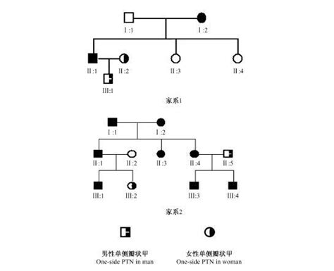 瓣狀甲血統|什麼是瓣狀甲？有遺傳性，還和這樣因素有關